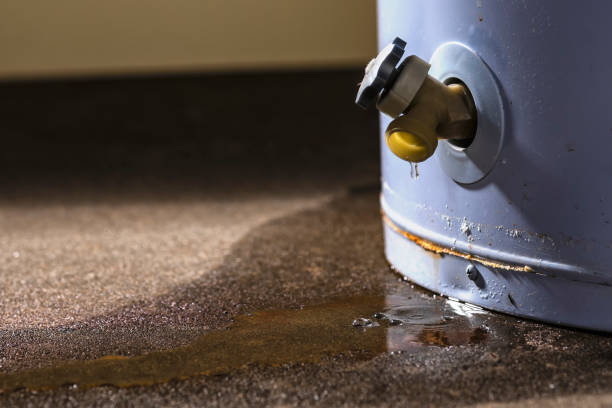 Best Carpet water damage restoration  in Mineville, NY