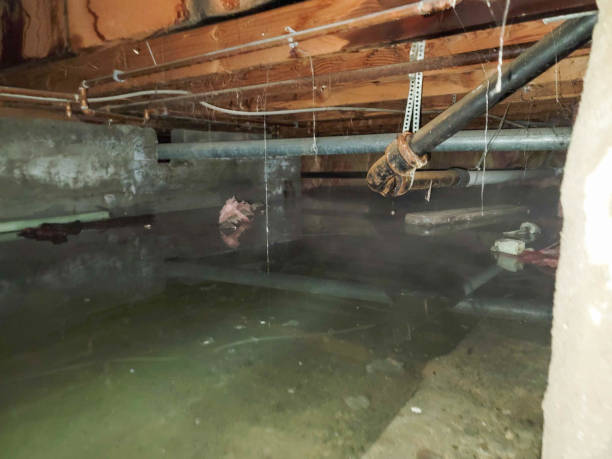 Best 24-hour water damage restoration  in Mineville, NY