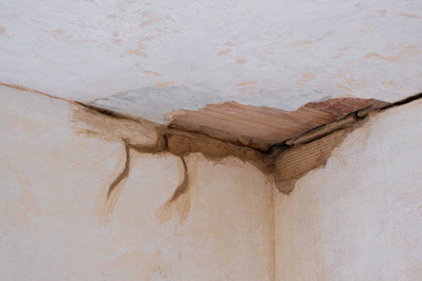 Best Ceiling water damage repair  in Mineville, NY