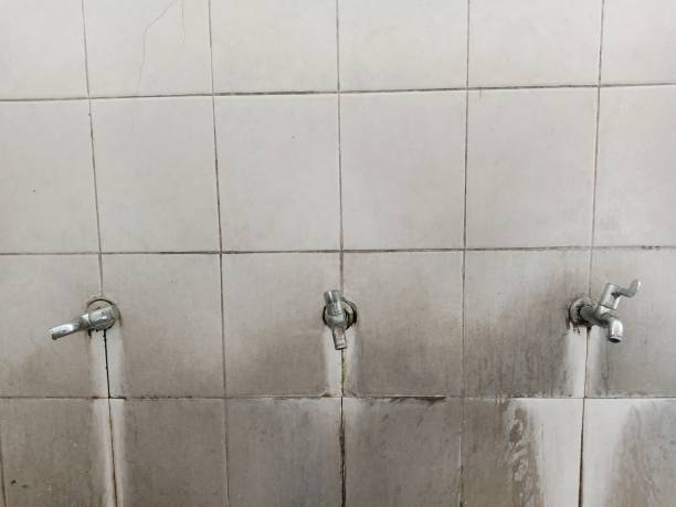 Best Local water damage restoration  in Mineville, NY