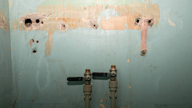 Best 24-hour water damage restoration  in Mineville, NY